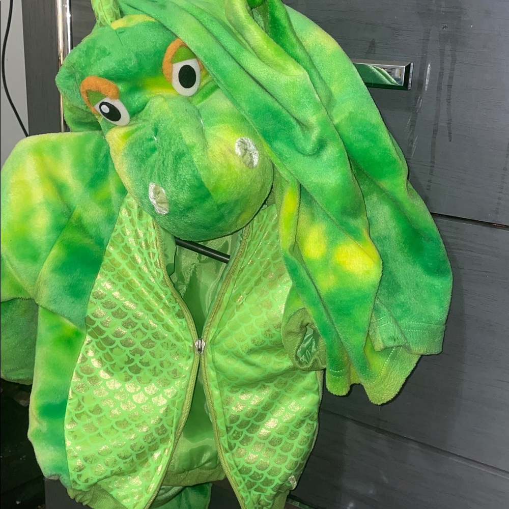 Dinosaur / dragon Halloween Green 2 piece Costume